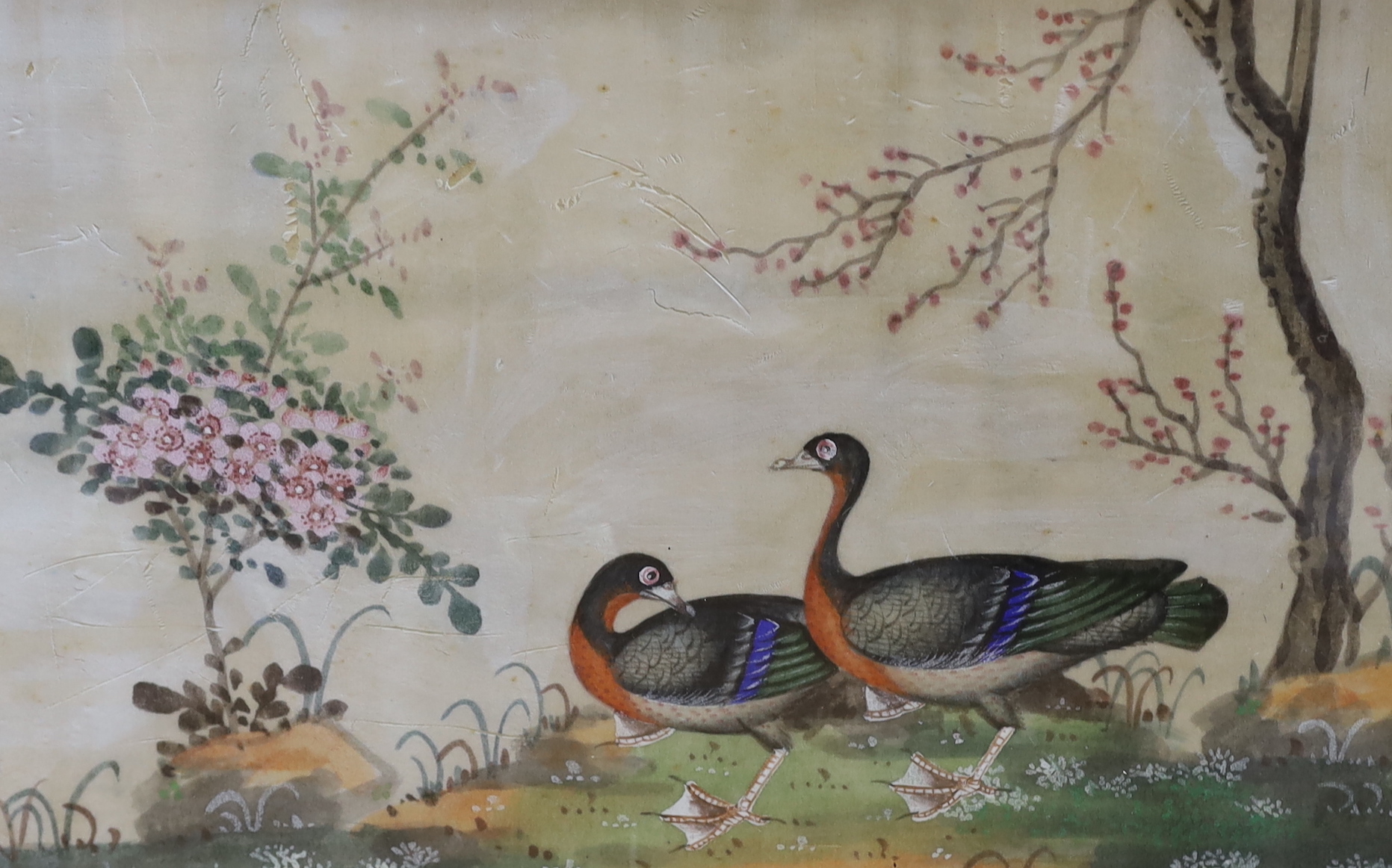 Chinese School, three gouaches on pith paper, Birds amongst flowers, largest 14 x 23cm